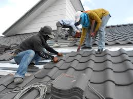 Best Steel Roofing  in Homosassa, FL